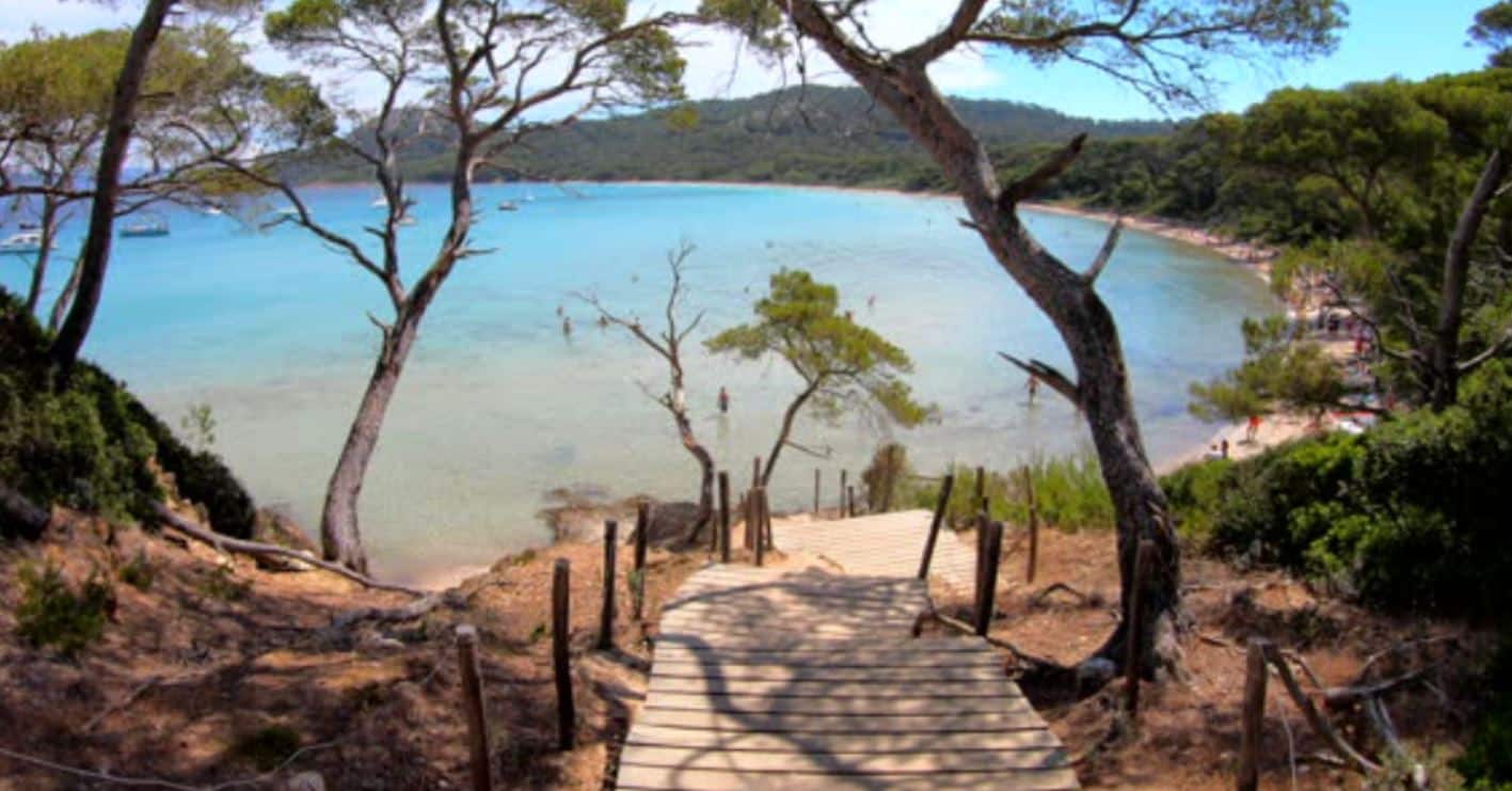 Îles d'or
